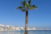 Playa Levante-Fosa 013
